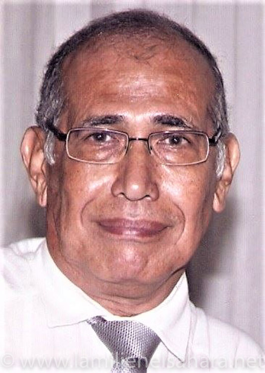 Vicente Gomiz Griarte