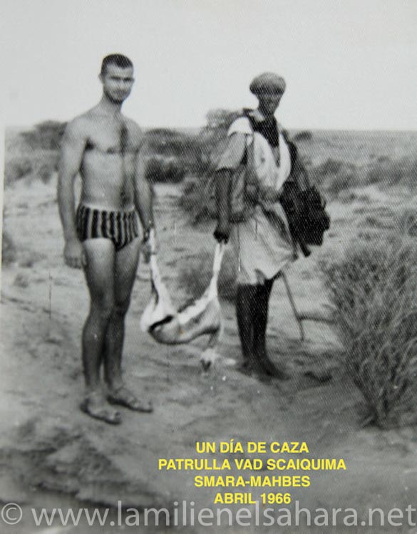 Antonio Miró Fernández