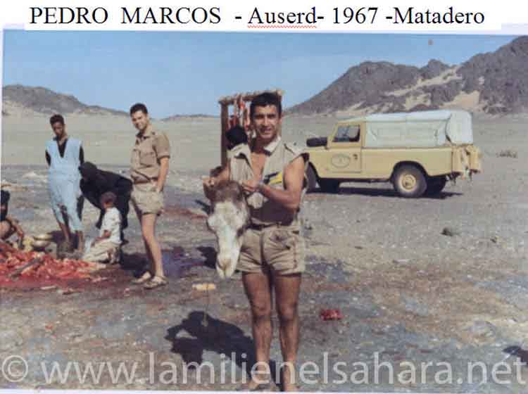 Pedro Marcos Ferrero