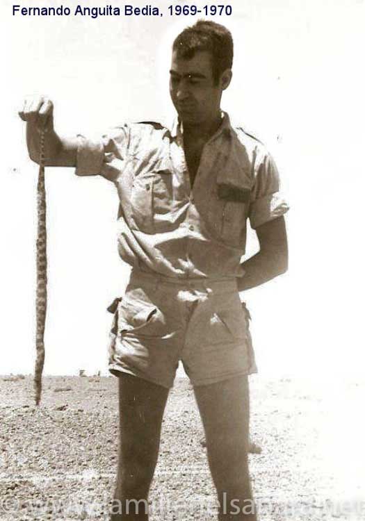 Fernando Anguita Bedia