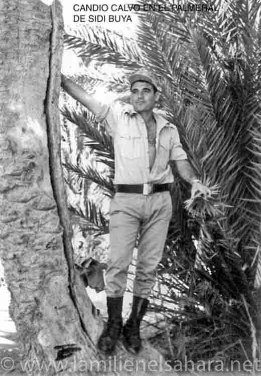 Cándido Calvo Varela