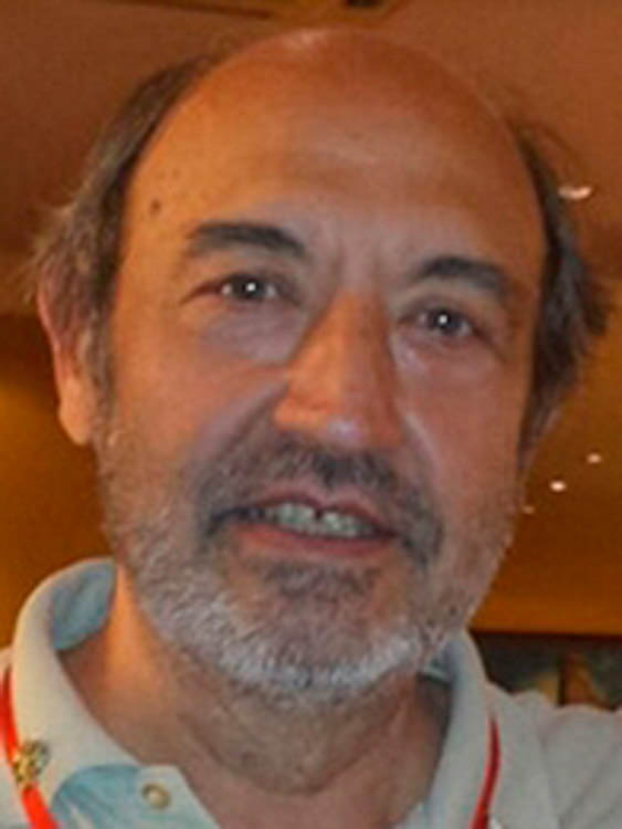 Fernando Fuentes Castañer
