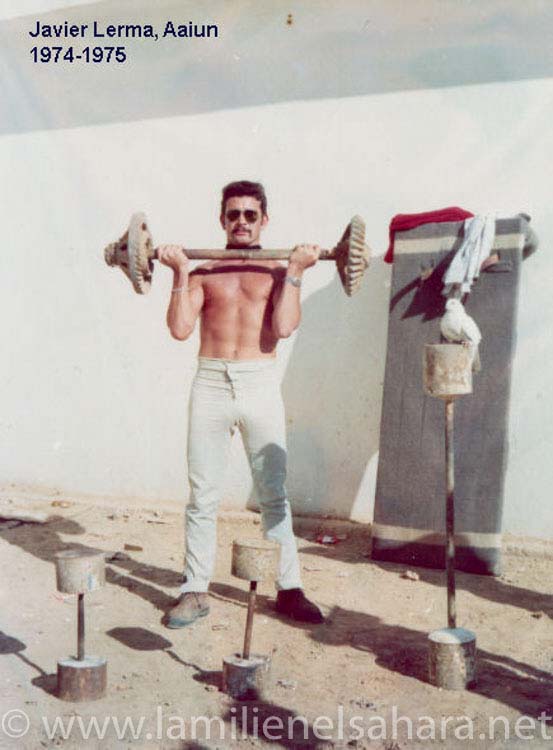 Javier Lerma Arcediano