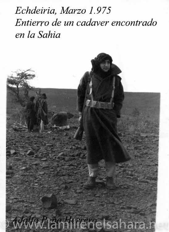 Adolfo Peña Herrera
