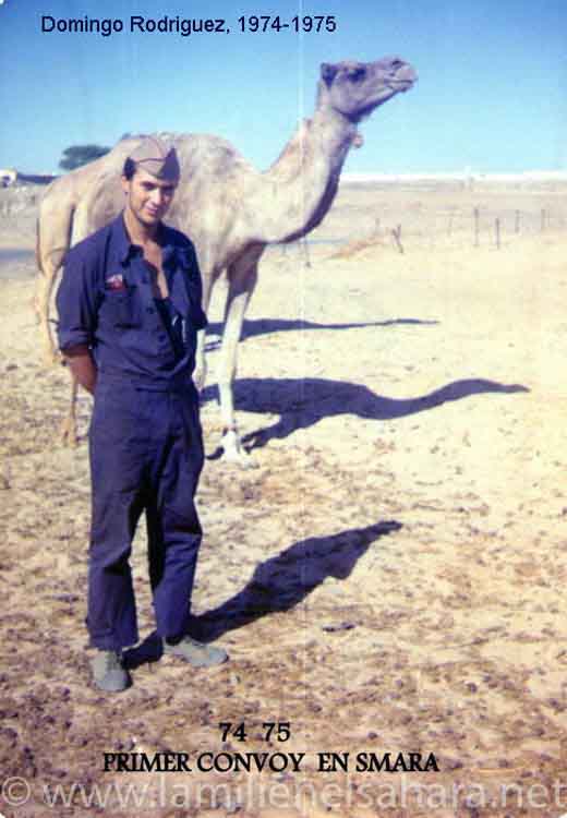 Domingo Rodríguez Domínguez