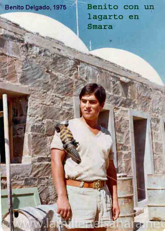 Benito Delgado