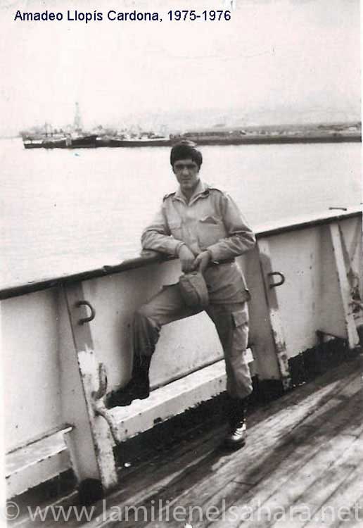 Amadeo Llopis Cardona