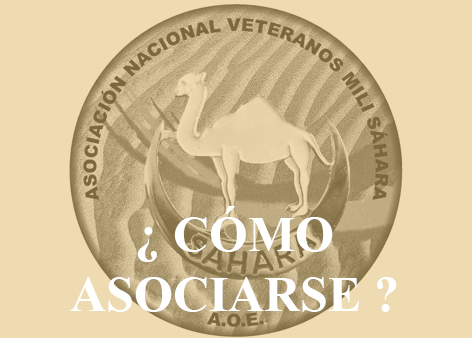 DDLM_ComoAsociarse