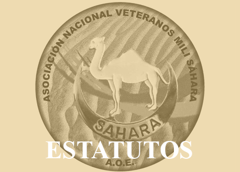 DDLM_Estatutos